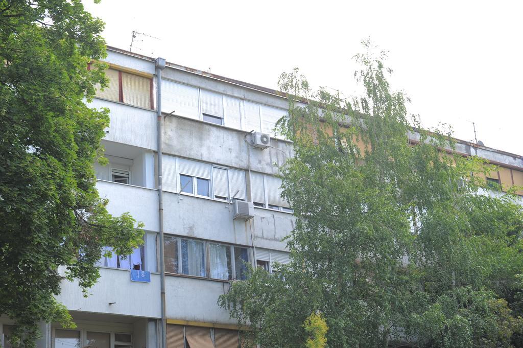 Apartment Daca Stan Belgrado Exterior foto
