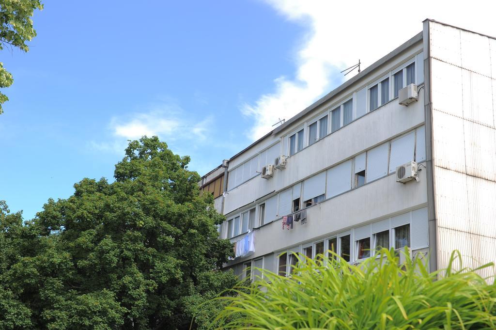 Apartment Daca Stan Belgrado Exterior foto